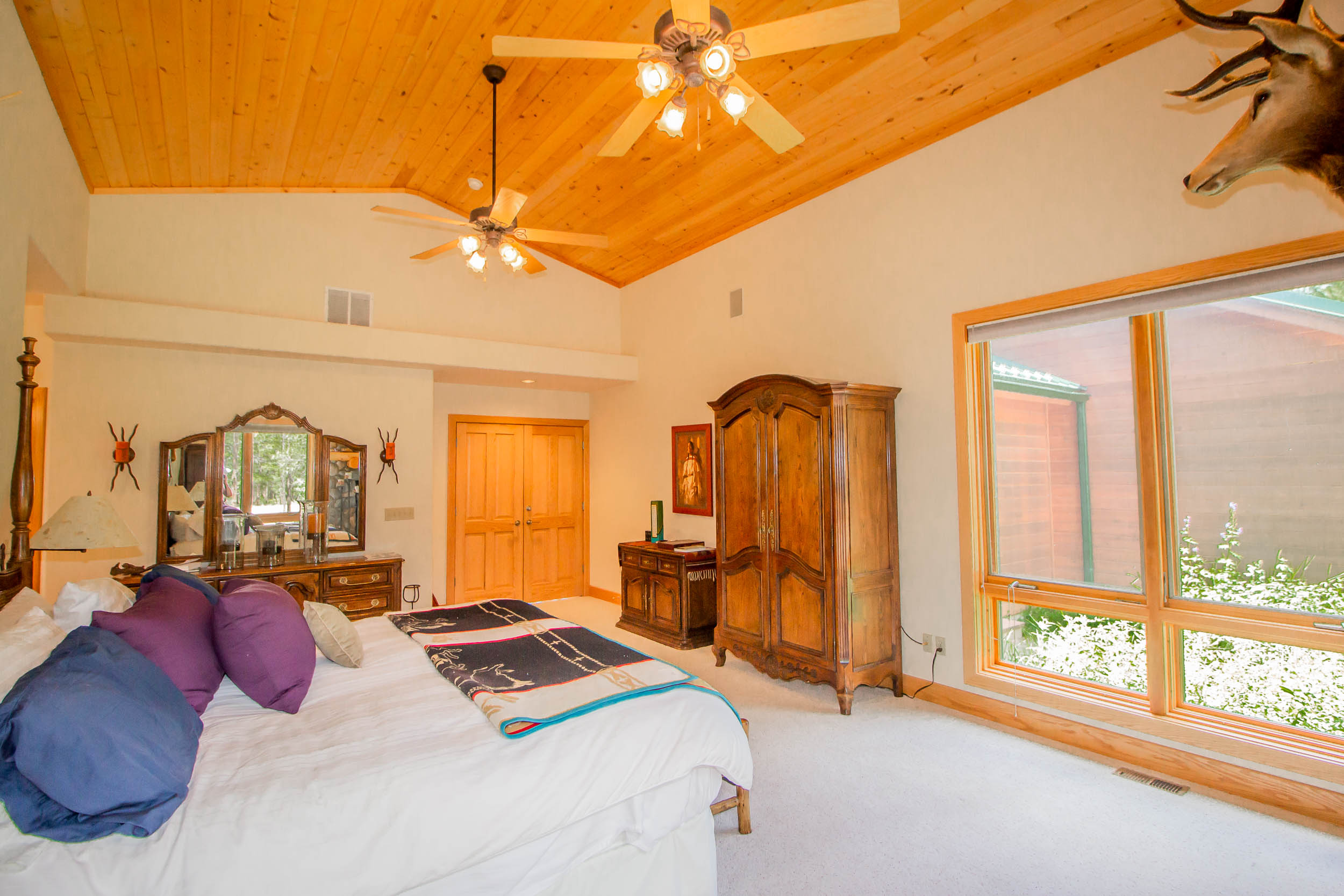 Pine Forest Rd, Lake George, CO 80827