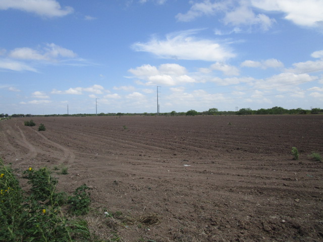 TBD Sherer Rd, San Benito, Texas, 78586, United States, ,Land,For Sale,TBD Sherer Rd,1431876