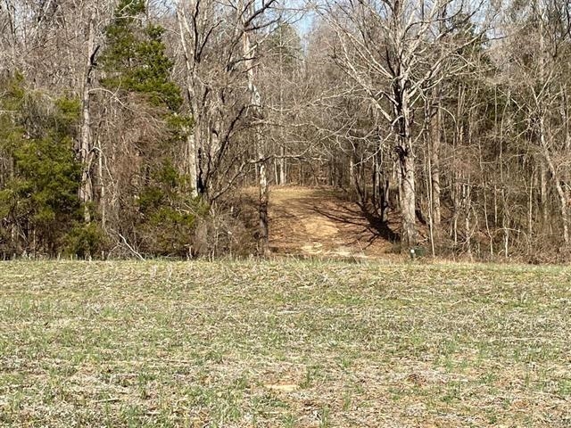 254 Hailey, Mercer, Tennessee, 38302, United States, ,Land,For Sale,254 Hailey,1102714