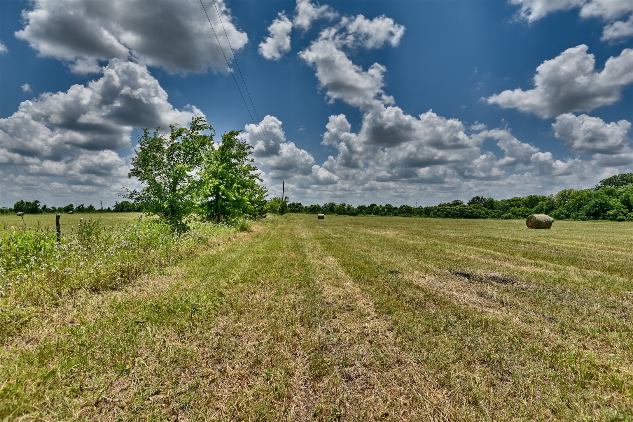 TBD Century Farms Road, Burton, Texas, 77835, United States, ,Land,For Sale,TBD Century Farms Road,1341146