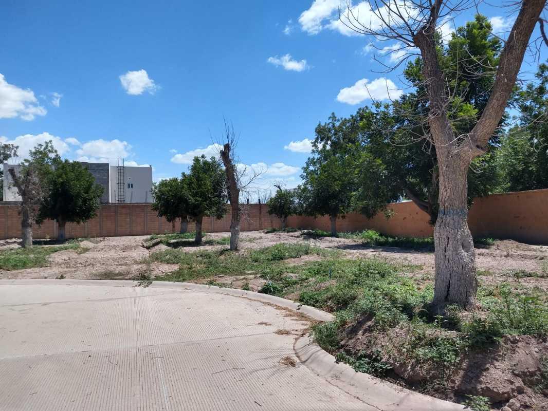 Torreón, Coahuila de Zaragoza, 27405, Mexico, 1 Bedroom Bedrooms, ,Residential,For Sale,1311476