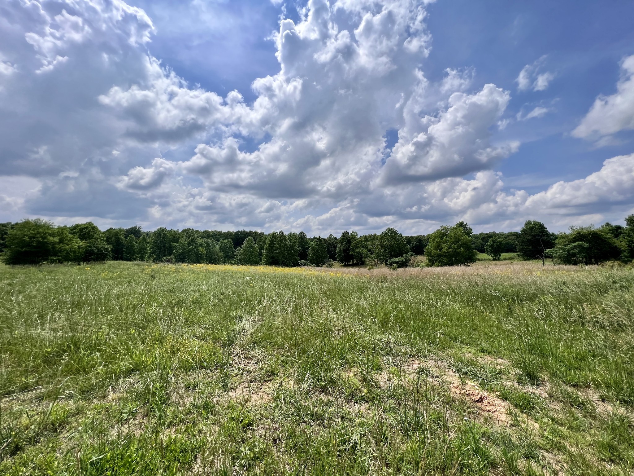 0 Brush Creek Rd, Lawrenceburg, Tennessee, 38464, United States, ,Land,For Sale,0 Brush Creek Rd,1287482