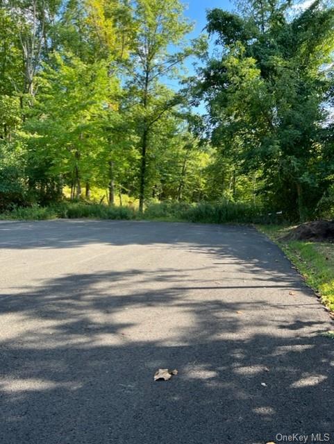 8 Deerwood Drive, Hopewell Junction, New York, 12533, United States, ,Land,For Sale,8 Deerwood Drive,1155778