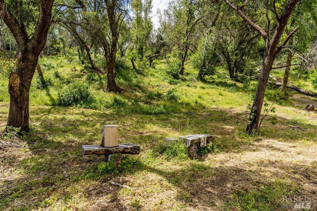 Dry Creek Rd, Napa, California, 94558, United States, ,Residential,For Sale,Dry Creek Rd,1434118