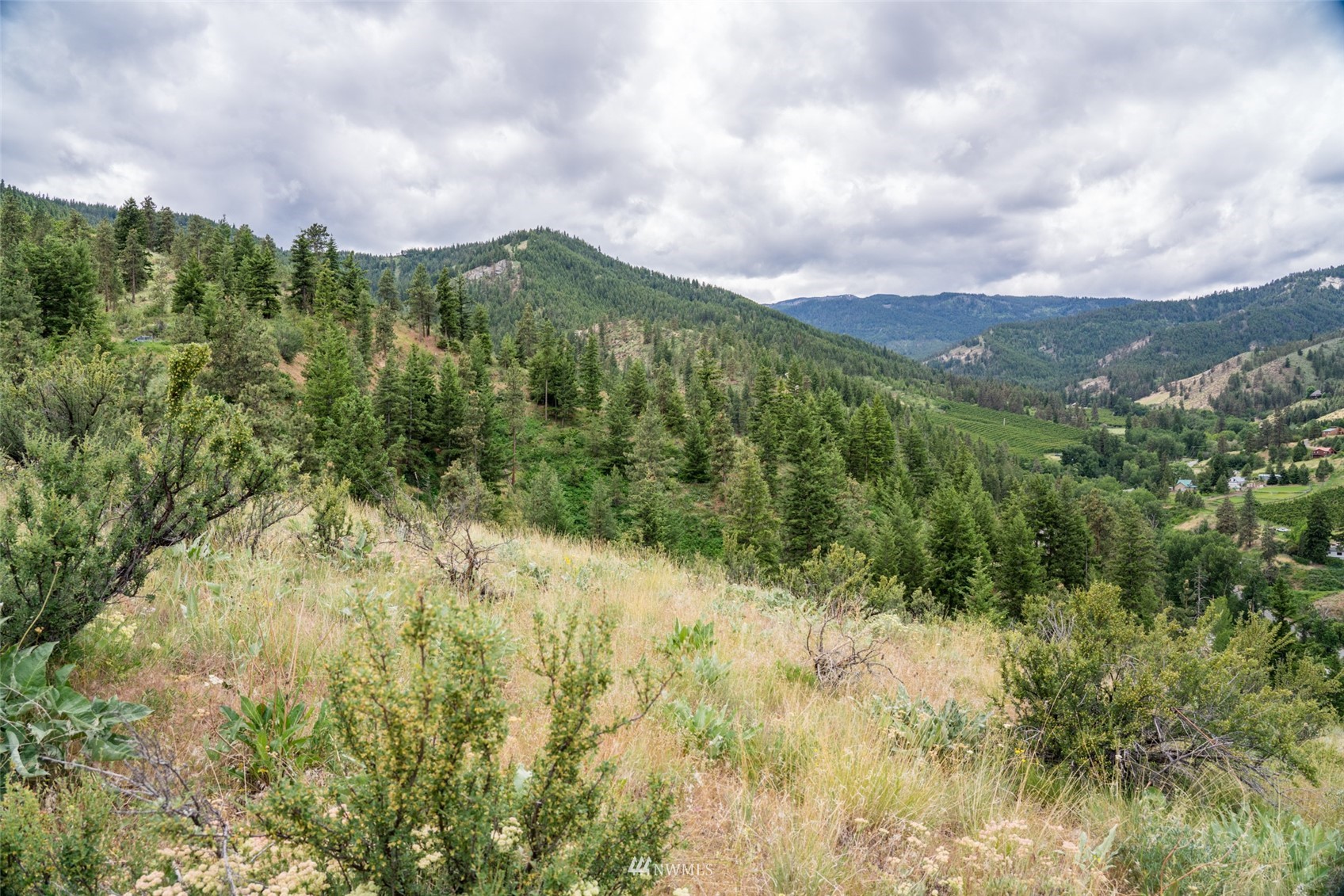 0 Squilchuck Road, Wenatchee, Washington, 98801, United States, ,Land,For Sale,0 Squilchuck Road,1434506