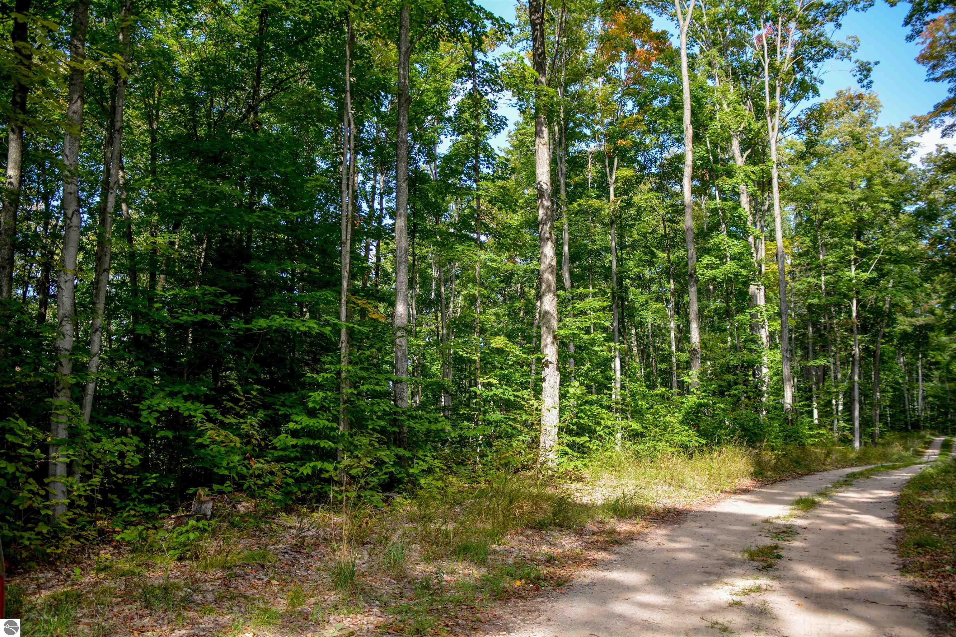 Fritz Road, Empire, Michigan, 49630, United States, ,Land,For Sale,Fritz Road,1461127