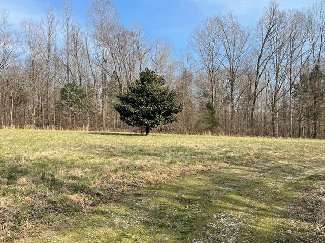 254 Hailey, Mercer, Tennessee, 38302, United States, ,Land,For Sale,254 Hailey,1102714