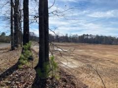 240 Industrial Blvd, CHATSWORTH, Georgia, 30705, United States, ,Residential,For Sale,240 Industrial Blvd,1405531