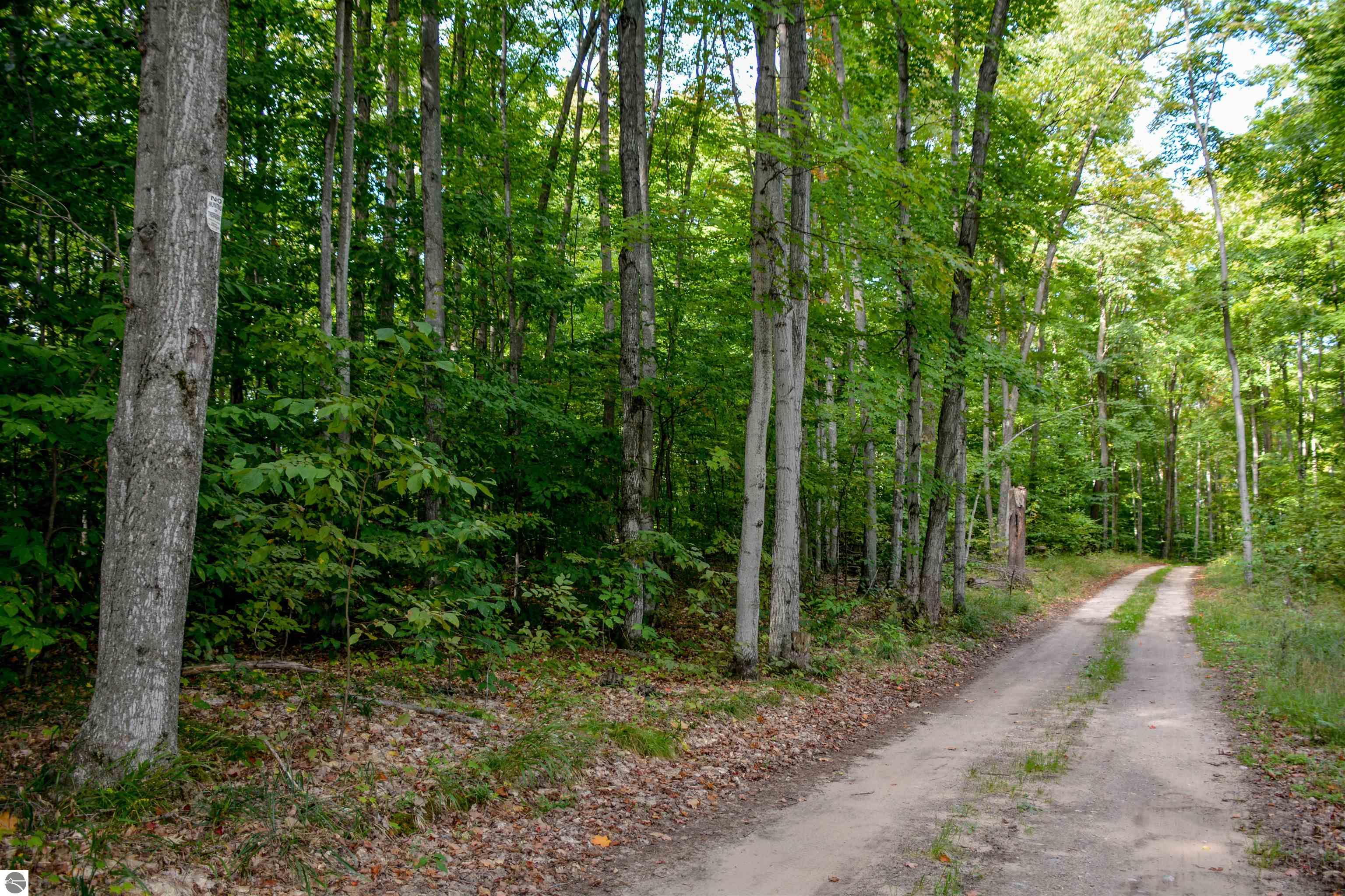 Fritz Road, Empire, Michigan, 49630, United States, ,Land,For Sale,Fritz Road,1461863