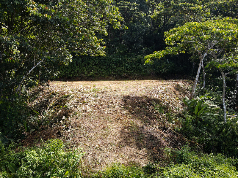 Dominical, Dominical, Puntarenas, CR, ,Land,For Sale,Dominical,1460569