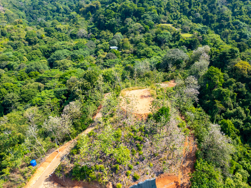 Dominical, Puntarenas, CR, ,Land,For Sale,1461763
