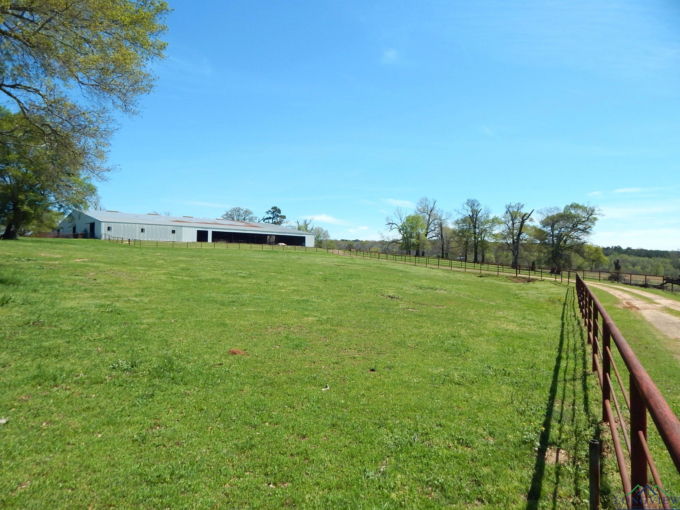 8223 S ST HWY 155, Big Sandy, Texas, 75755, United States, ,Land,For Sale,8223 S ST HWY 155,1487670