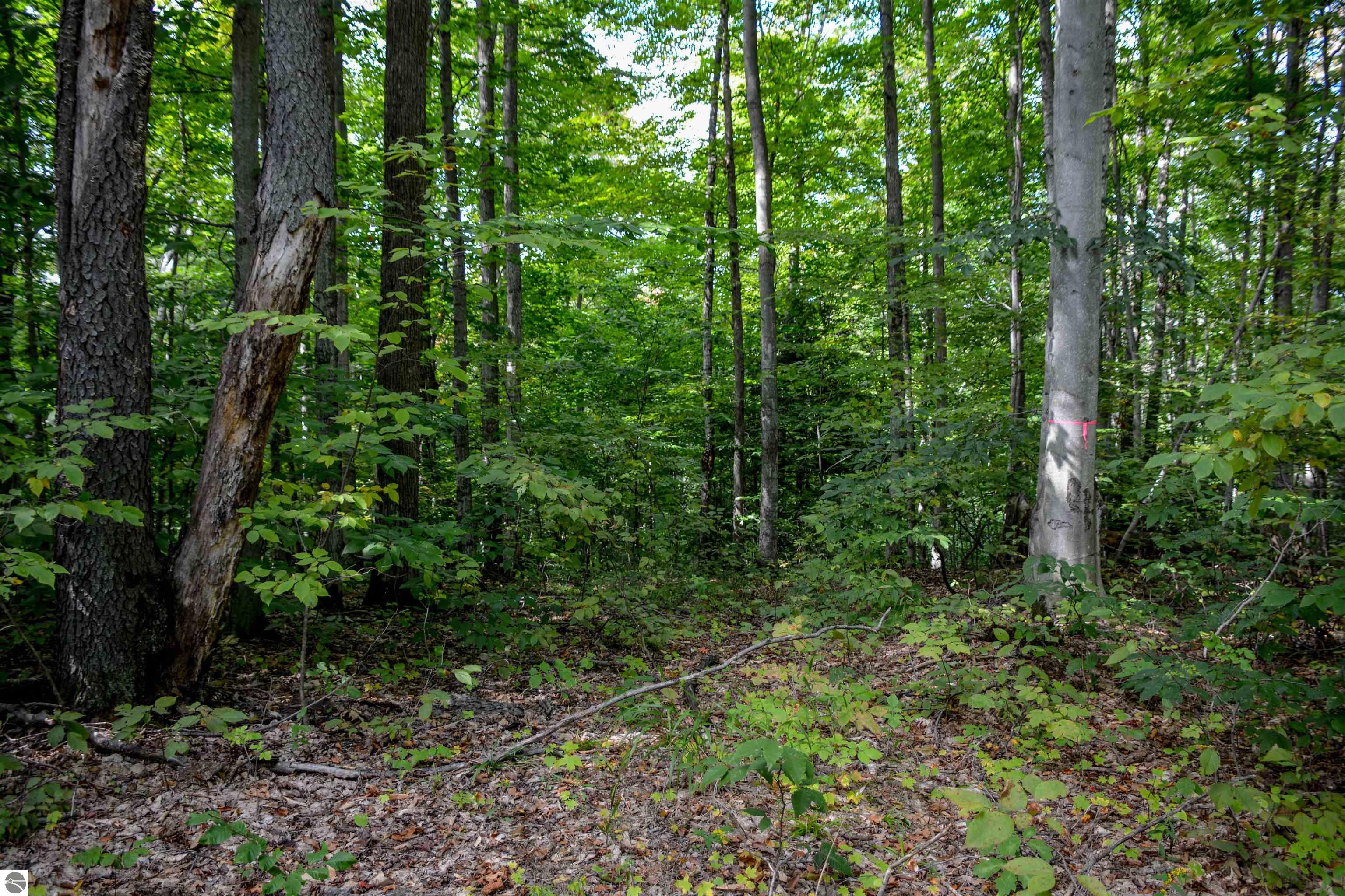 Fritz Road, Empire, Michigan, 49630, United States, ,Land,For Sale,Fritz Road,1461863