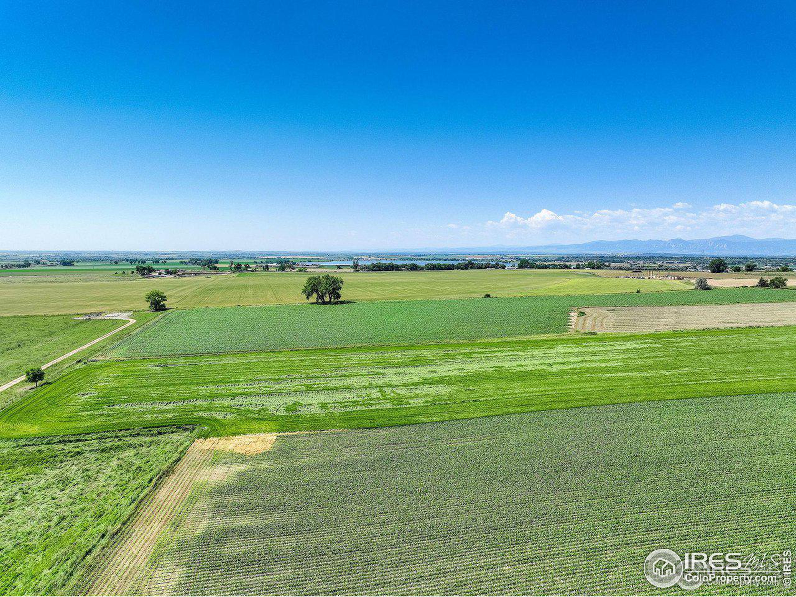 14504 County Road 3, Longmont, Colorado, 80504, United States, ,Land,For Sale,14504 County Road 3,1337431