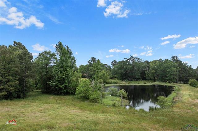 172 CR 183, Carthage, Texas, 75633, United States, ,Land,For Sale,172 CR 183,1479337