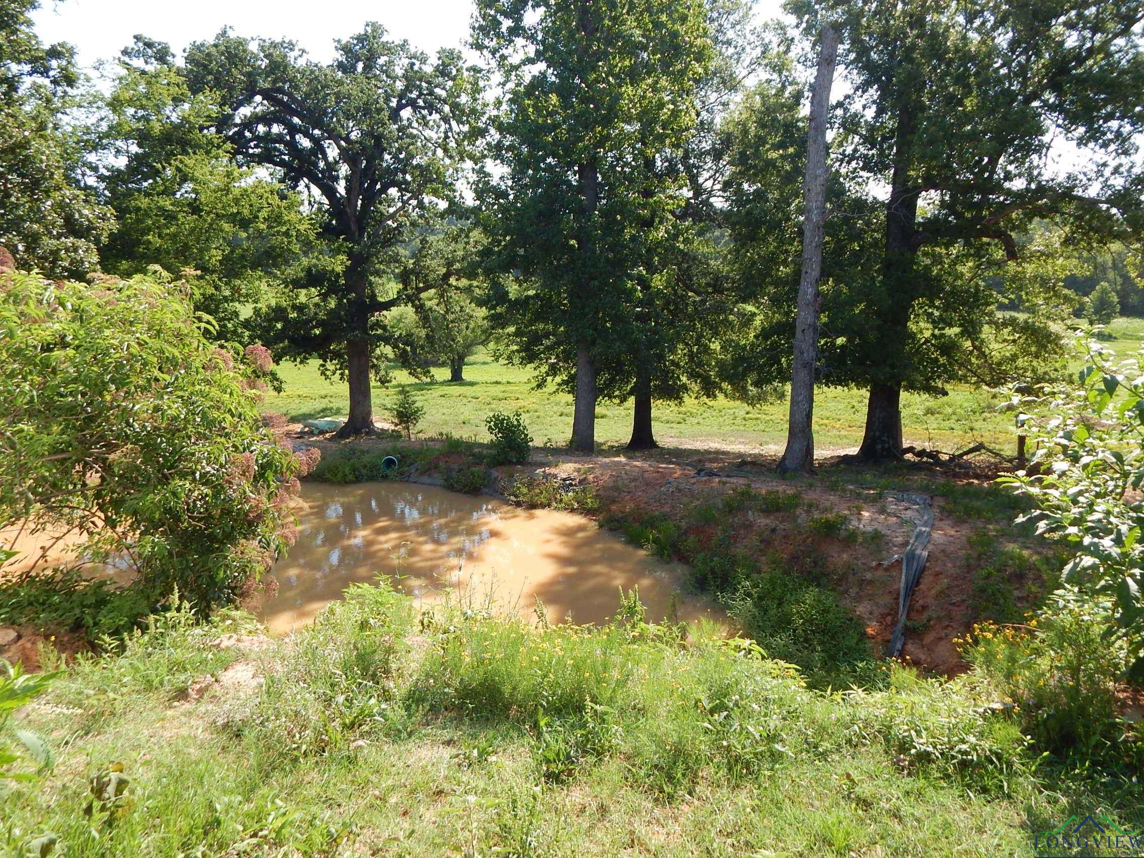 8223 S ST HWY 155, Big Sandy, Texas, 75755, United States, ,Land,For Sale,8223 S ST HWY 155,1487670