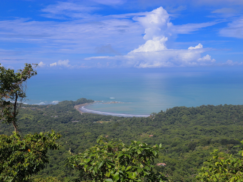 Dominical, Puntarenas, CR, ,Land,For Sale,1307461
