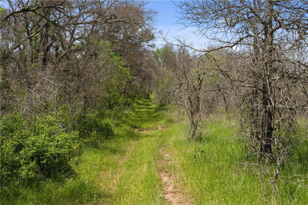 1242 CR 272, Cameron, Texas, 76520, United States, ,Land,For Sale,1242 CR 272,1431579