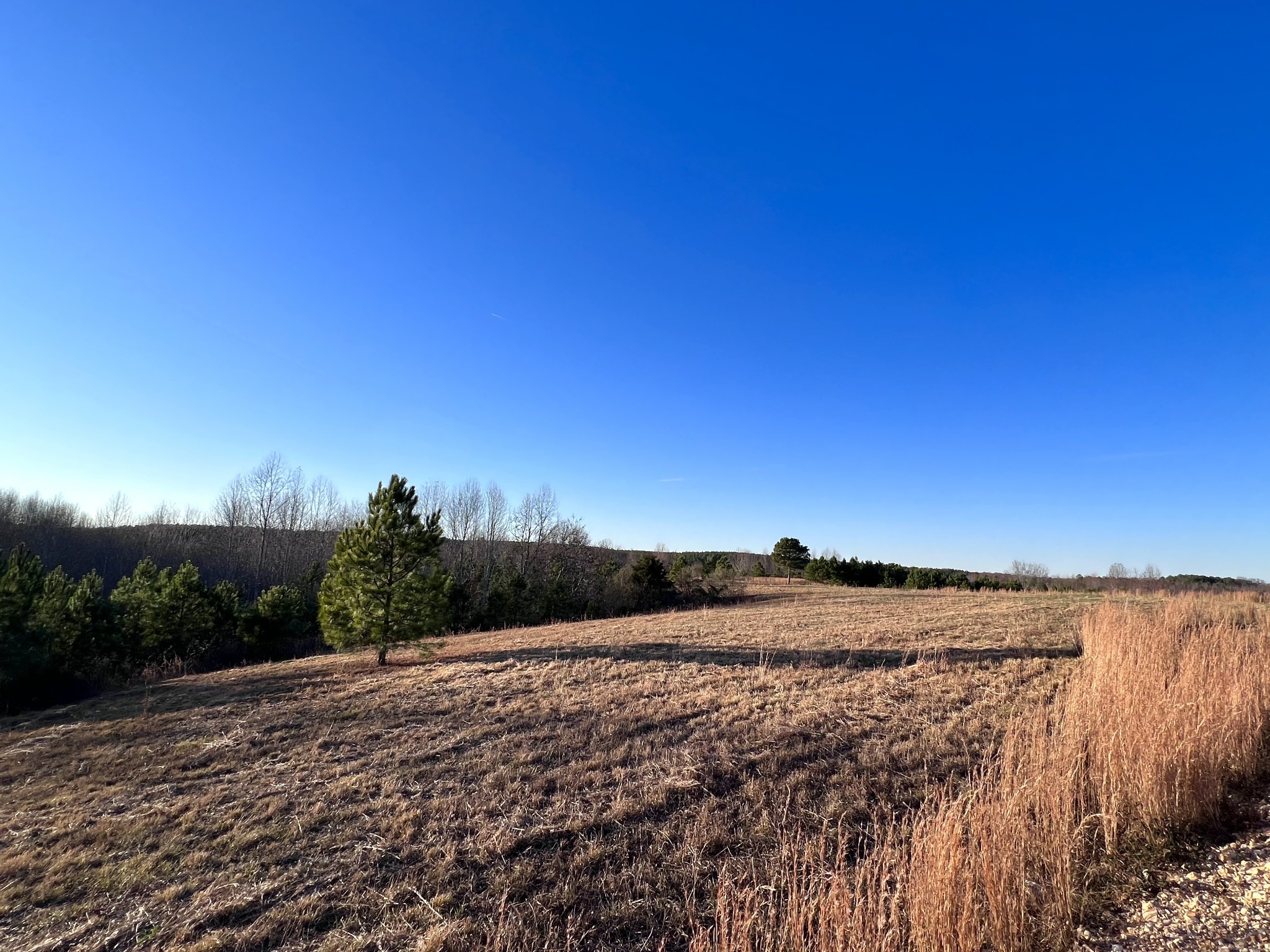 0 Brush Creek Rd, Lawrenceburg, Tennessee, 38464, United States, ,Land,For Sale,0 Brush Creek Rd,1287482