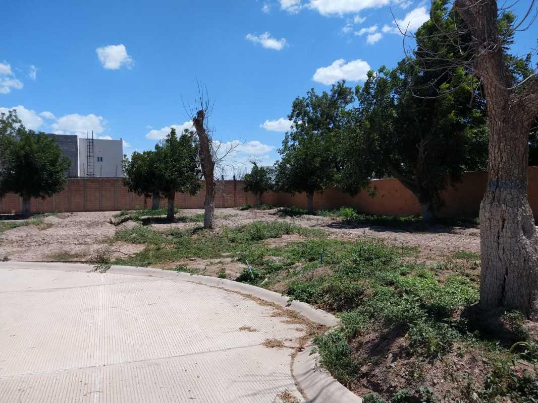 Torreón, Coahuila de Zaragoza, 27405, Mexico, 1 Bedroom Bedrooms, ,Residential,For Sale,1311476