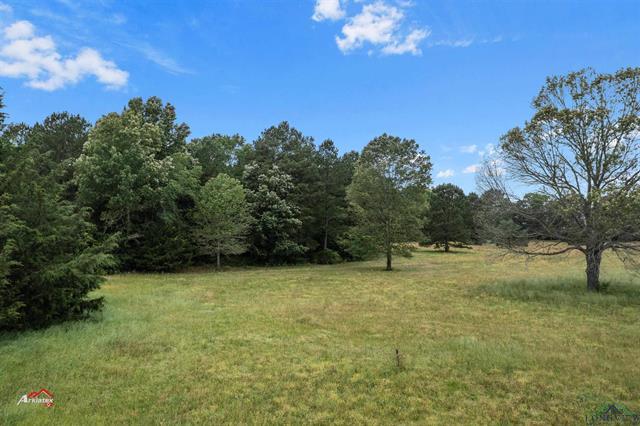 172 CR 183, Carthage, Texas, 75633, United States, ,Land,For Sale,172 CR 183,1479337