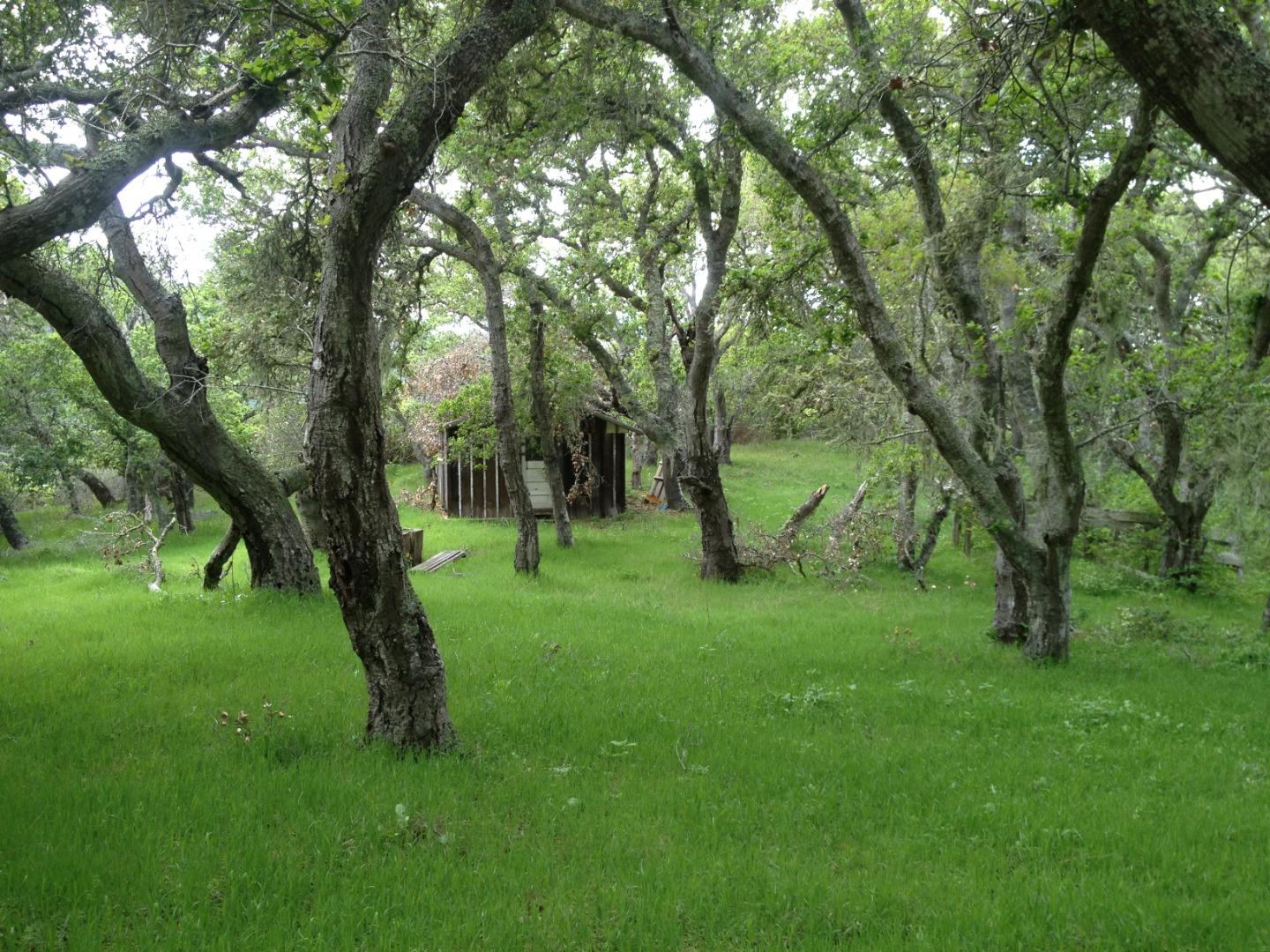 Adamo Ranch, Carmel Valley Rd, Carmel, California, 93923, United States, ,Land,For Sale,Adamo Ranch, Carmel Valley Rd,1372849
