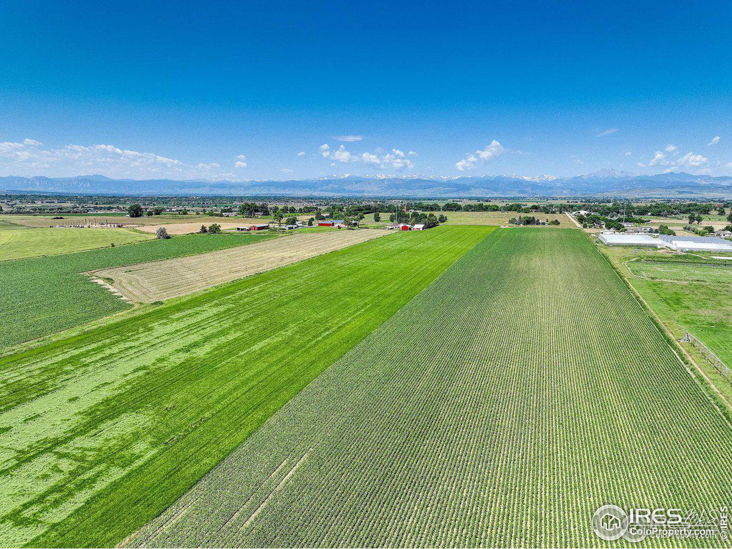 14504 County Road 3, Longmont, Colorado, 80504, United States, ,Land,For Sale,14504 County Road 3,1337431