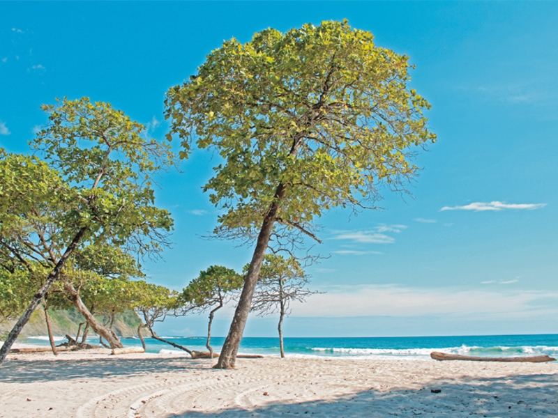 Playa Barrigona, Guanacaste, Samara, Guanacaste, CR, 12 Bedrooms Bedrooms, ,Residential,For Sale,Playa Barrigona, Guanacaste,1460834
