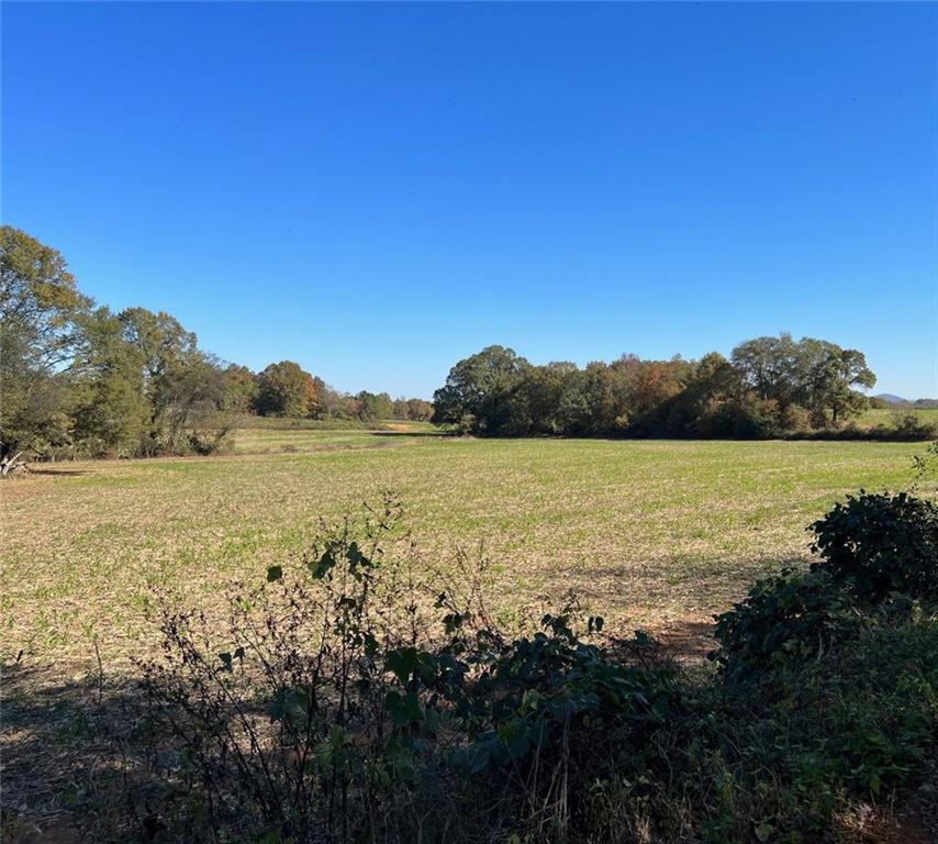 0 Two Gun Bailey Road, Taylorsville, Georgia, 30178, United States, ,Land,For Sale,0 two gun bailey RD,1394842