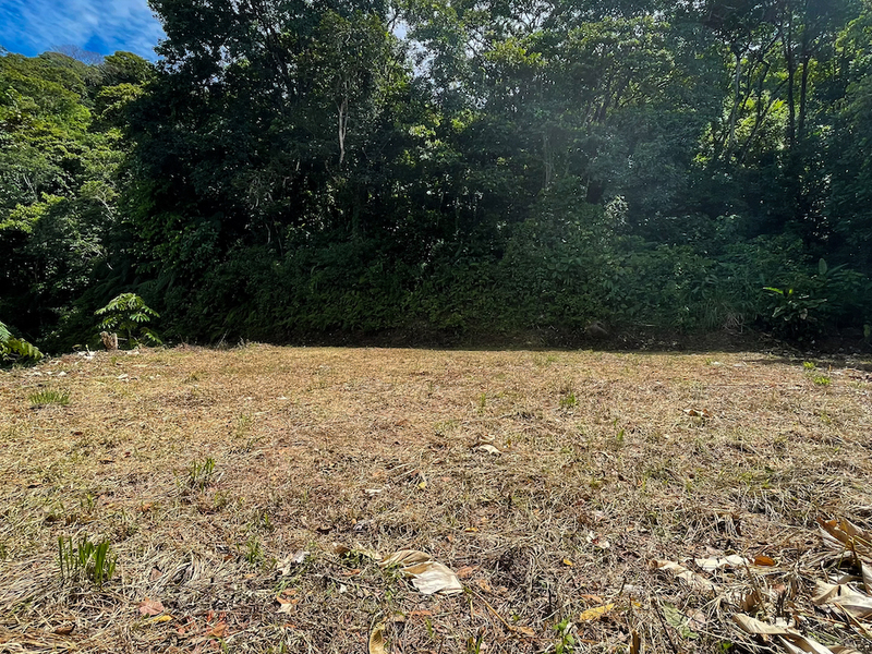 Dominical, Dominical, Puntarenas, CR, ,Land,For Sale,Dominical,1460569