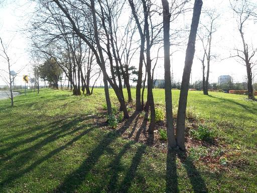 Lot 2 Central Road, Hoffman Estates, Illinois, 60195, United States, ,Land,For Sale,Lot 2 Central Road,1425598