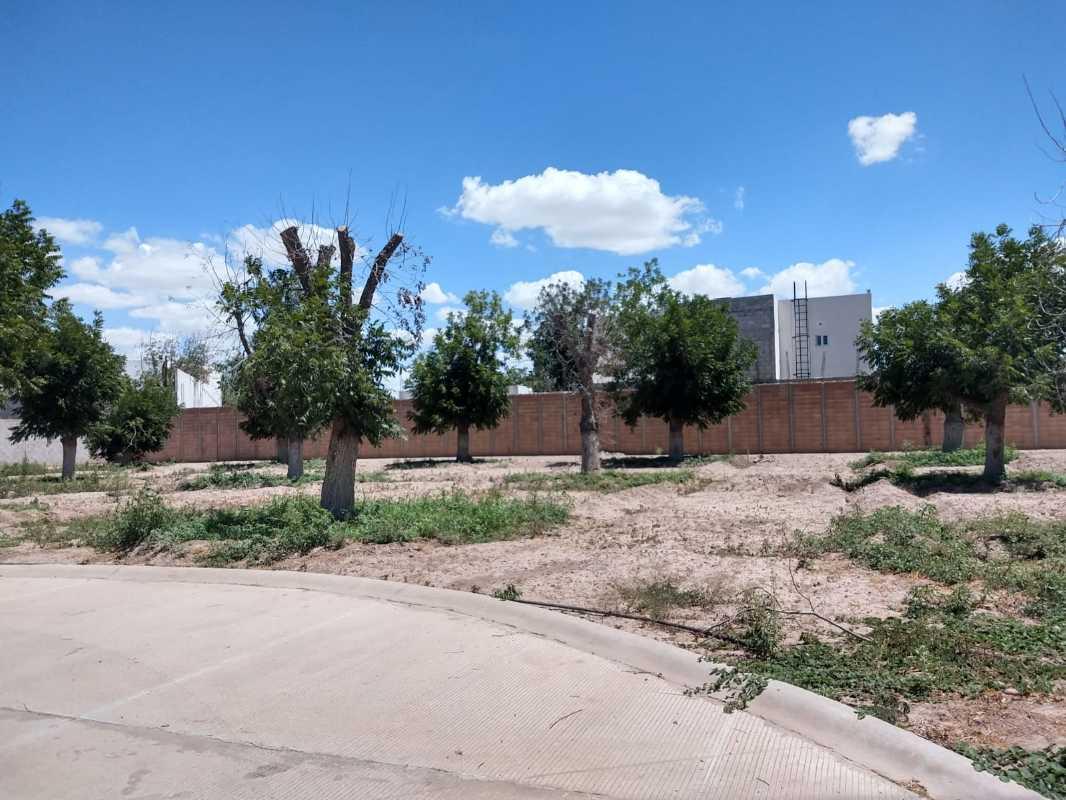 Torreón, Coahuila de Zaragoza, 27405, Mexico, 1 Bedroom Bedrooms, ,Residential,For Sale,1311051
