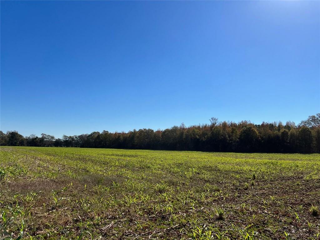0 Two Gun Bailey Road, Taylorsville, Georgia, 30178, United States, ,Land,For Sale,0 two gun bailey RD,1394842