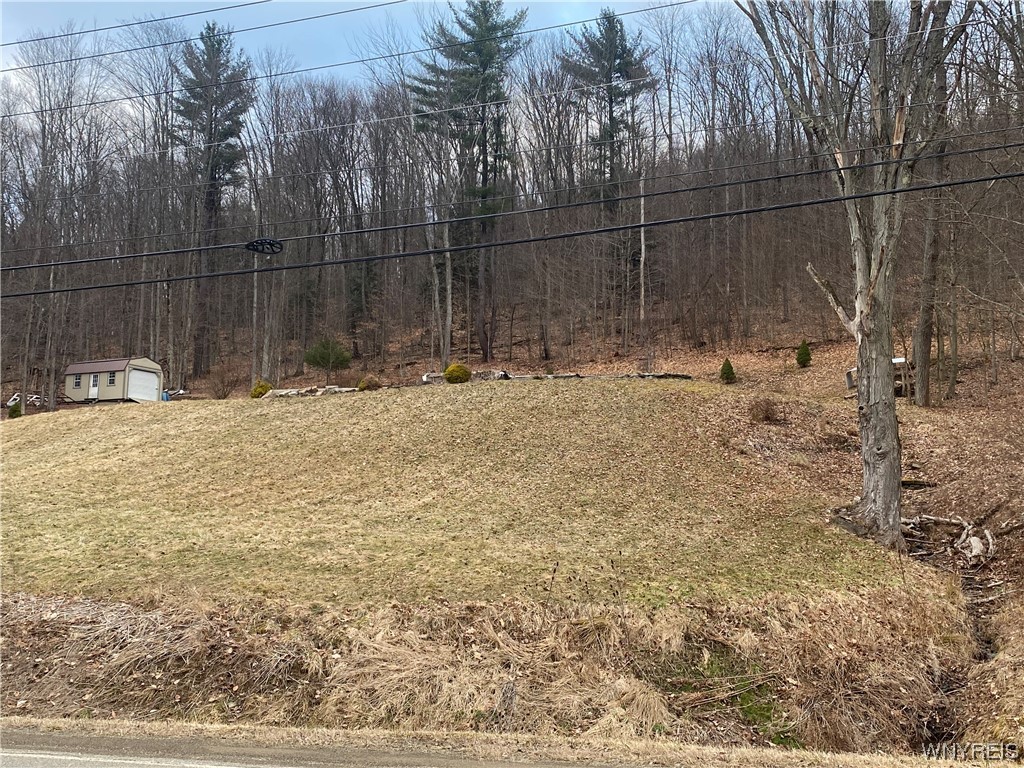 Four Mile Rd, Allegany, NY 14706 #1