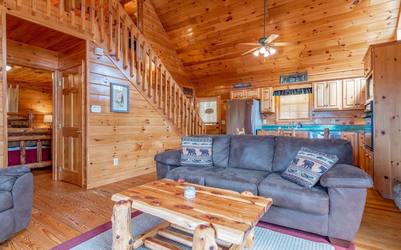 Sugar Mountain Rd, Blue Ridge, GA 30513 #1