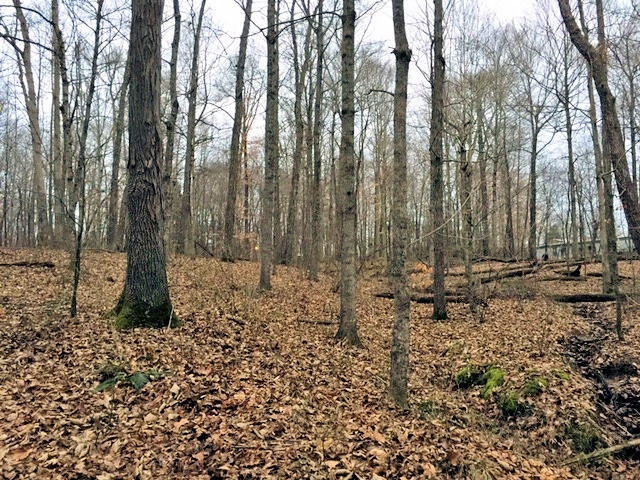 Kinderhook Rd, Scottsburg, IN 47170