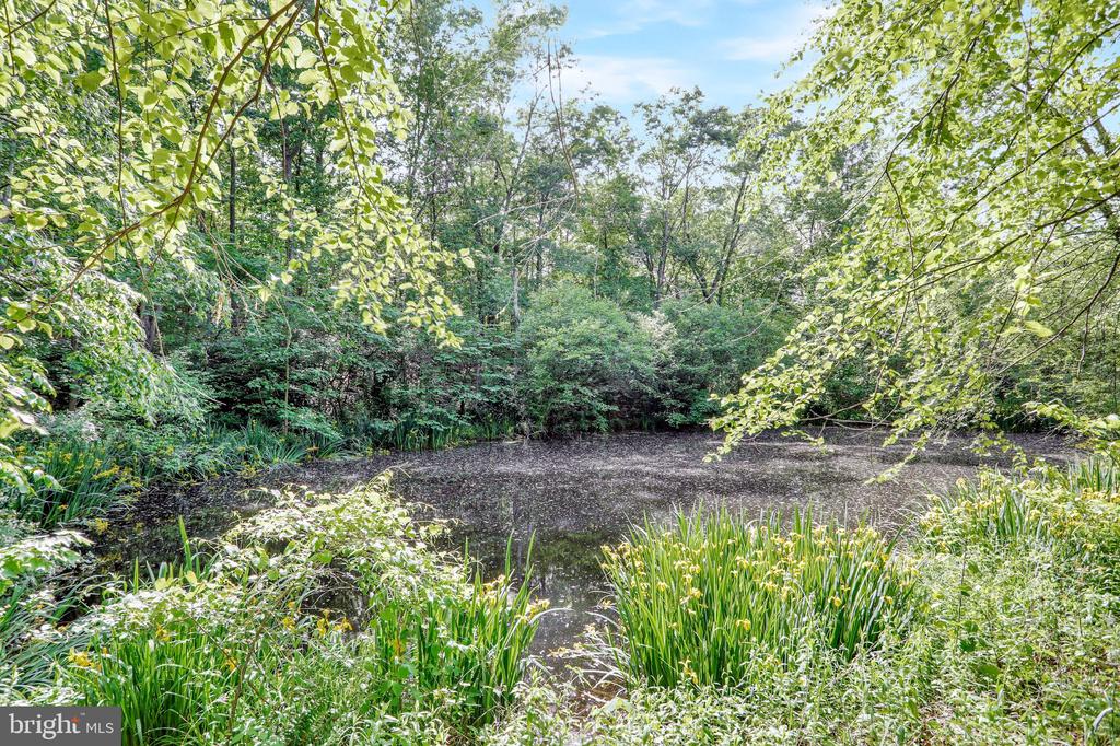 Terrys Rd, Berkeley Springs, WV 25411