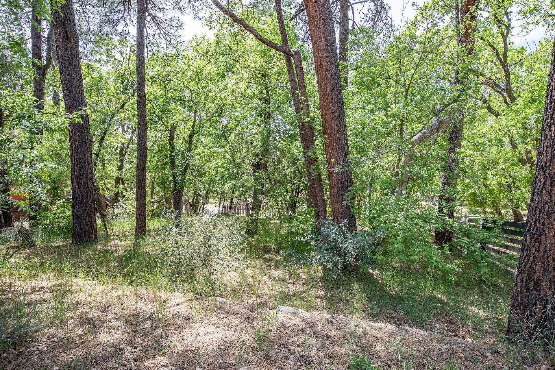 Walnut Ln, Pine, AZ 85544