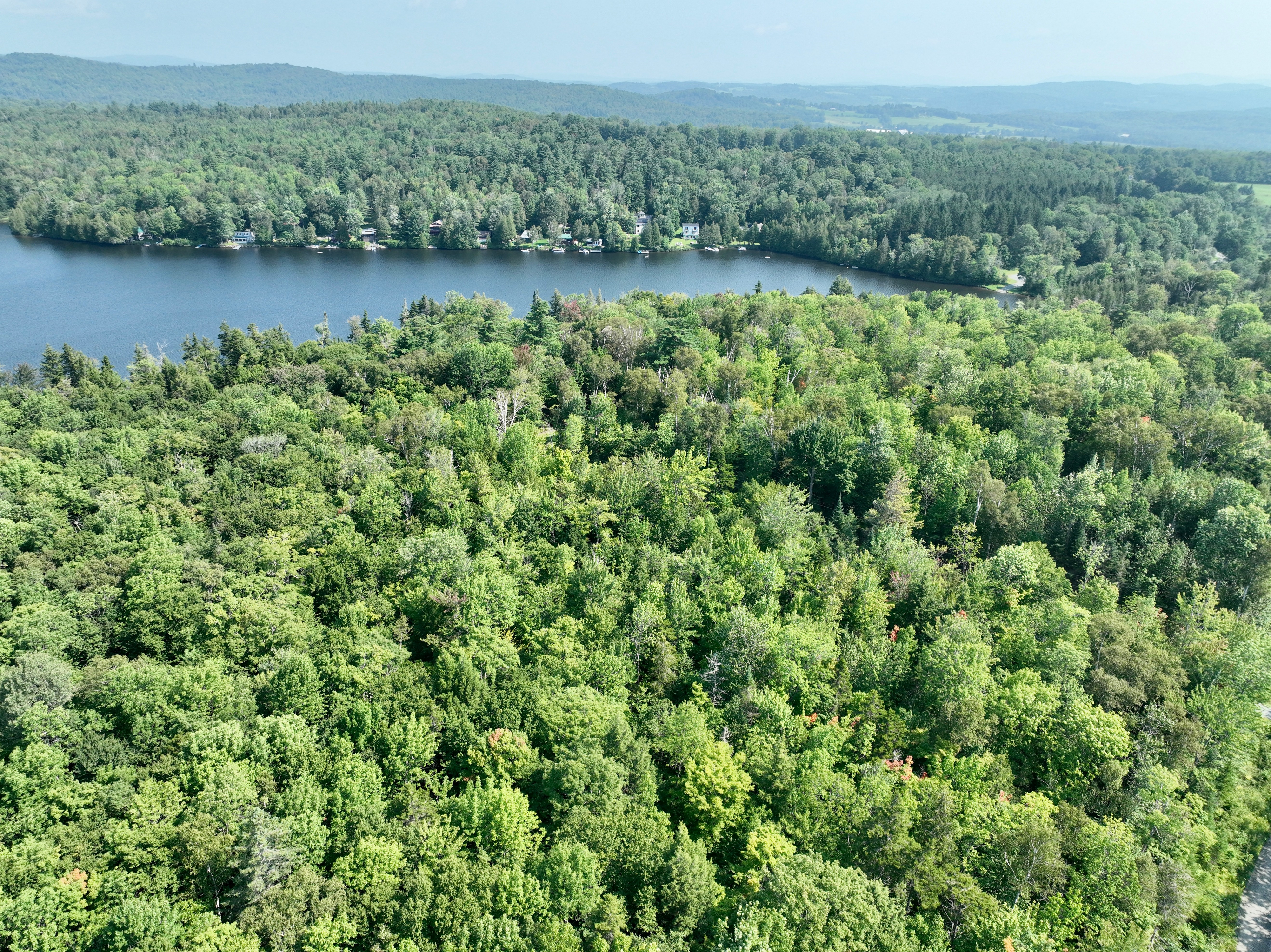 Martins Pond Lake Frontage