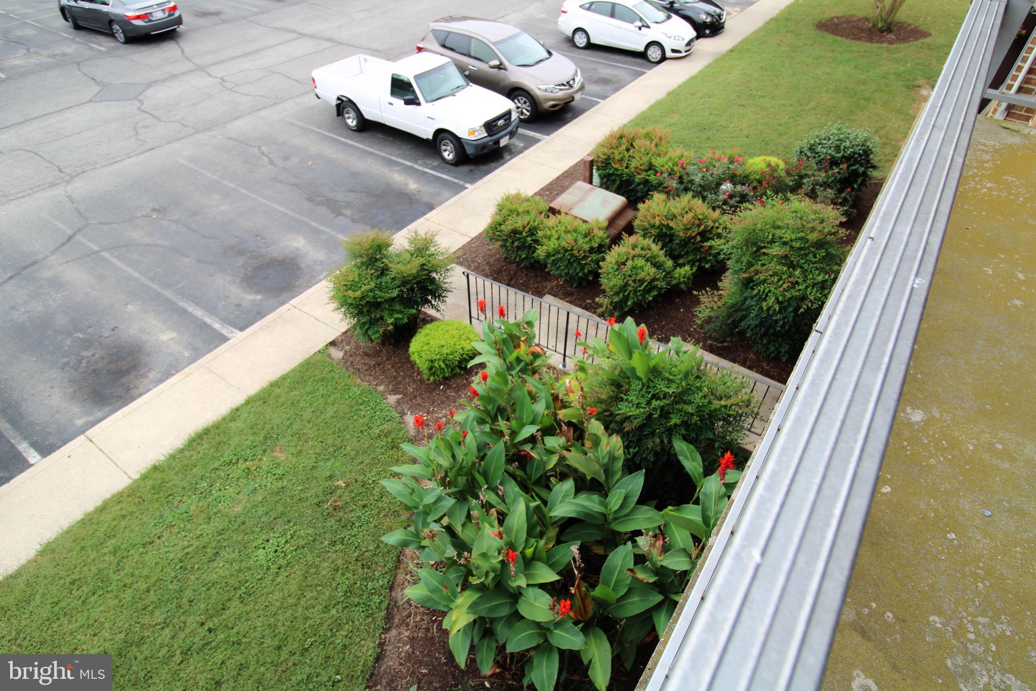 Adams Ave, Salisbury, MD 21804 #1