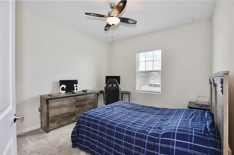 Black Maple Pl, Ocoee, FL 34761