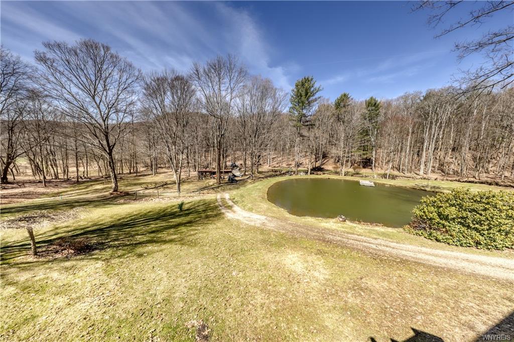 Morgan Hollow Rd, Allegany, NY 14706 #1
