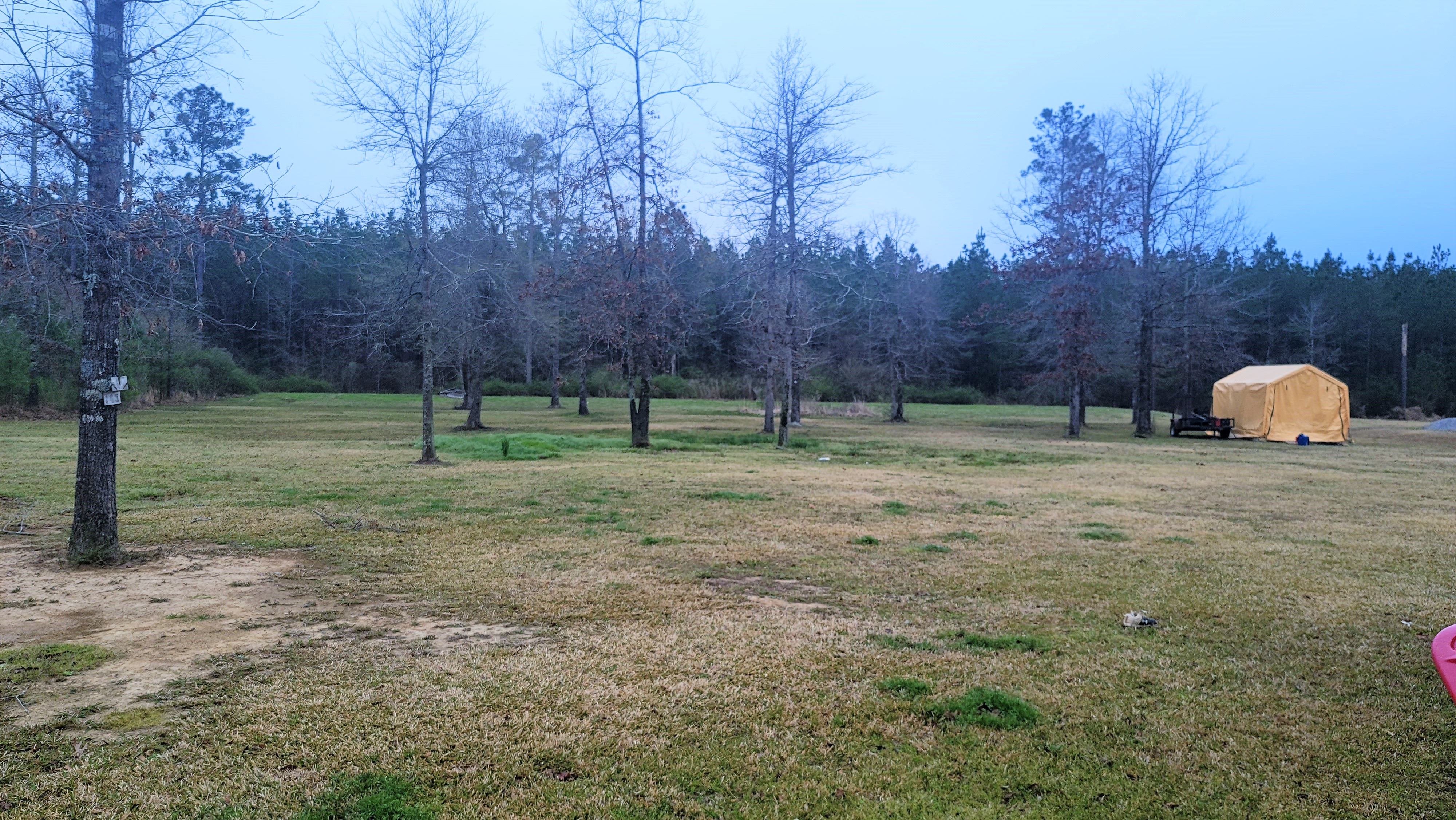 Shady Crest Ave, Deville, LA 71328 #1