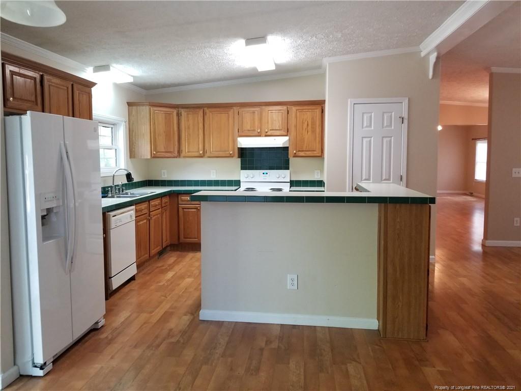 Red Holly Dr, Sanford, NC 27330 #1