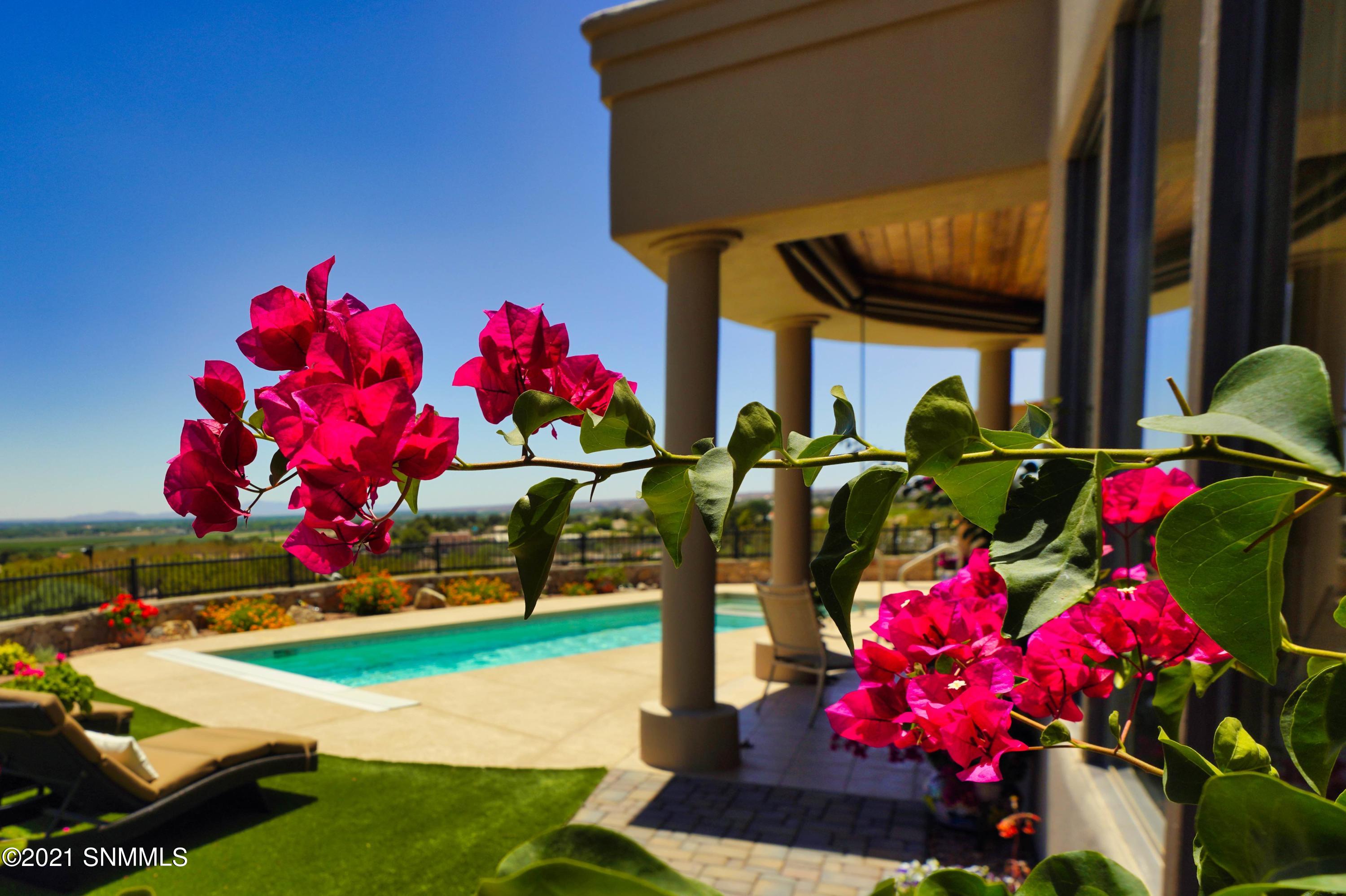 Butterfield Ridge Dr, Las Cruces, NM 88007