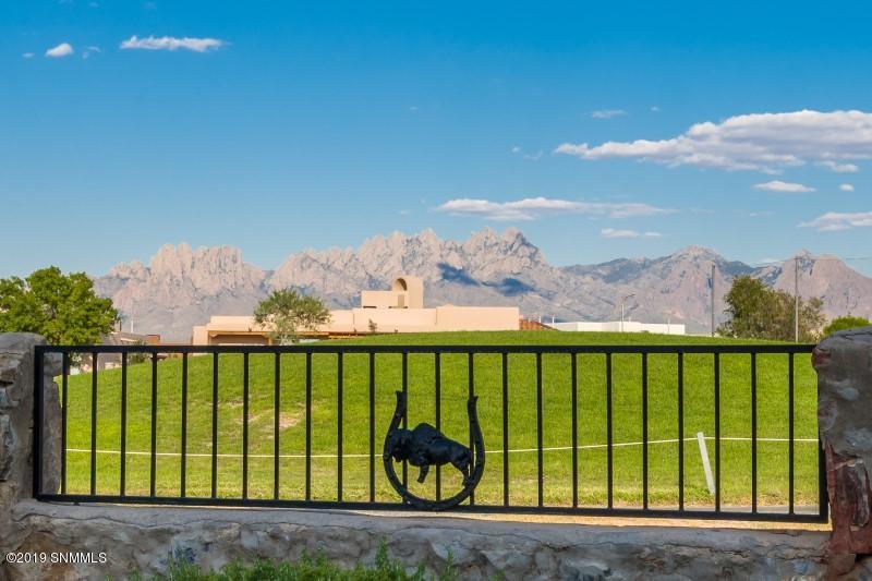 Lone Tree Ln, Las Cruces, NM 88011 #1