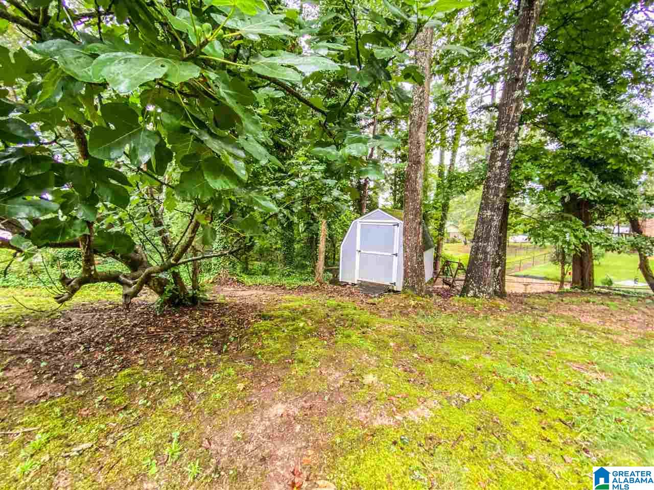 Hickory Cir, Pell City, AL 35128
