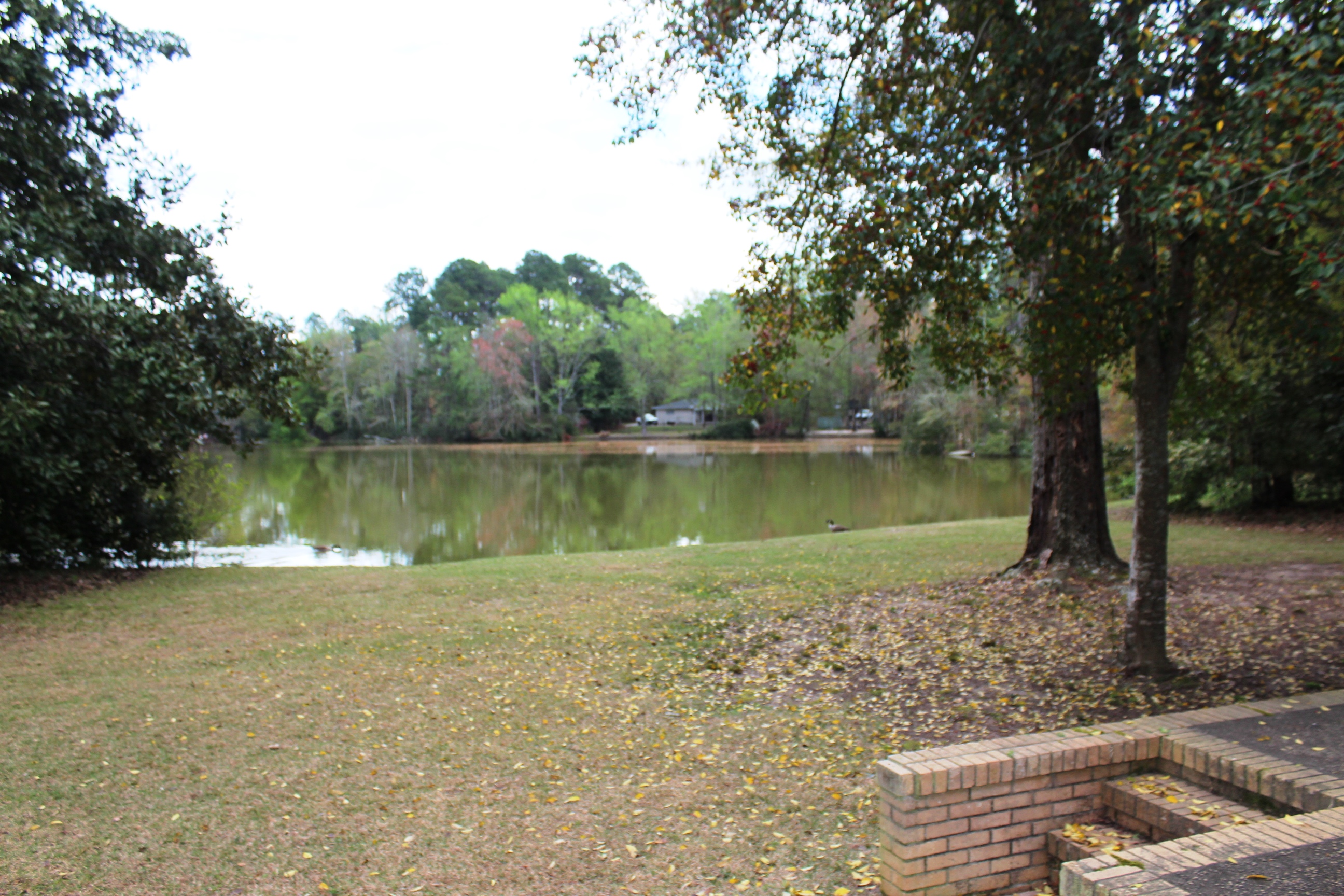 Wilburn Cir, Statesboro, GA 30458 #1
