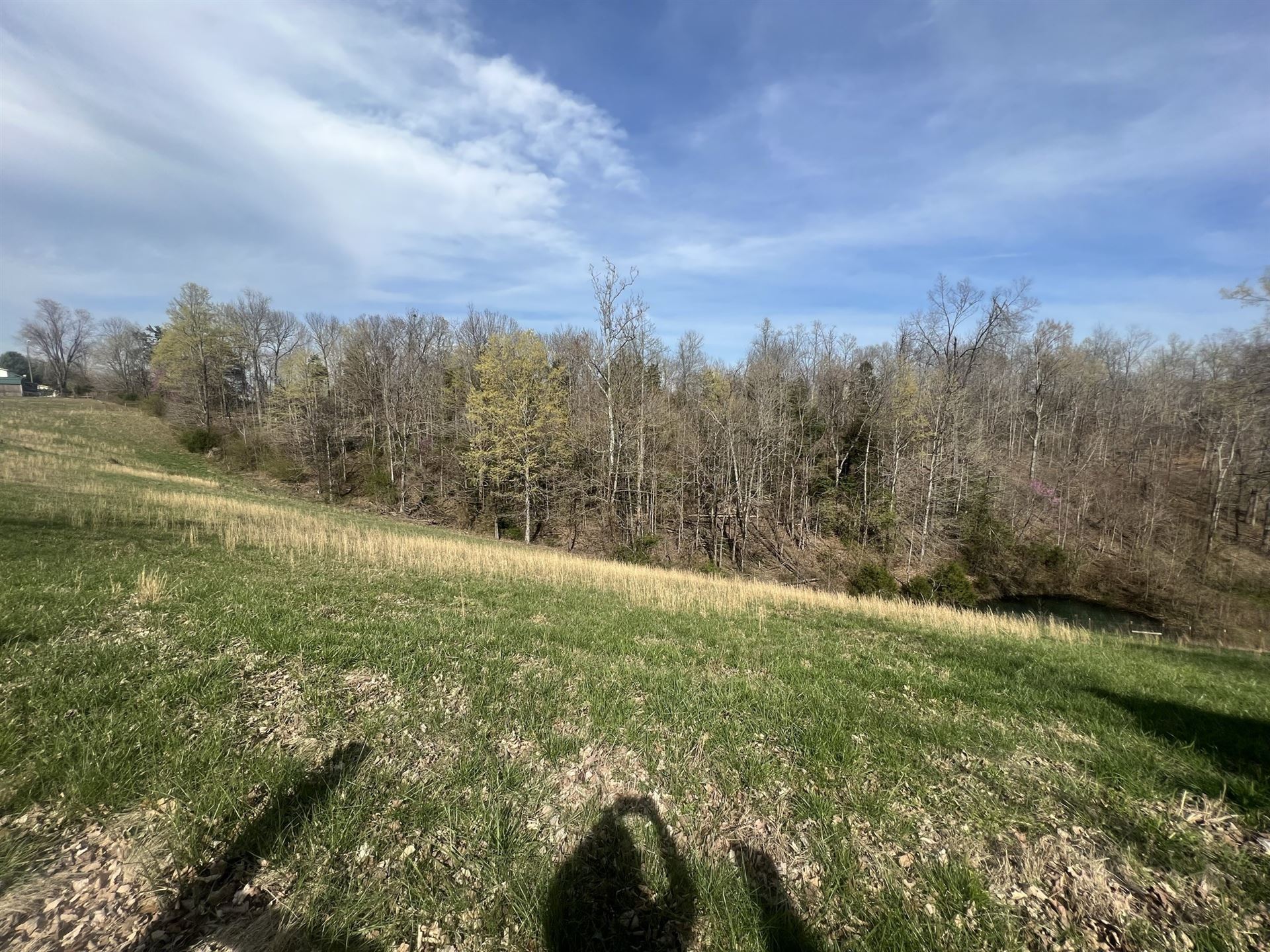 Cleveland Rd, Wartrace, TN 37183 #1