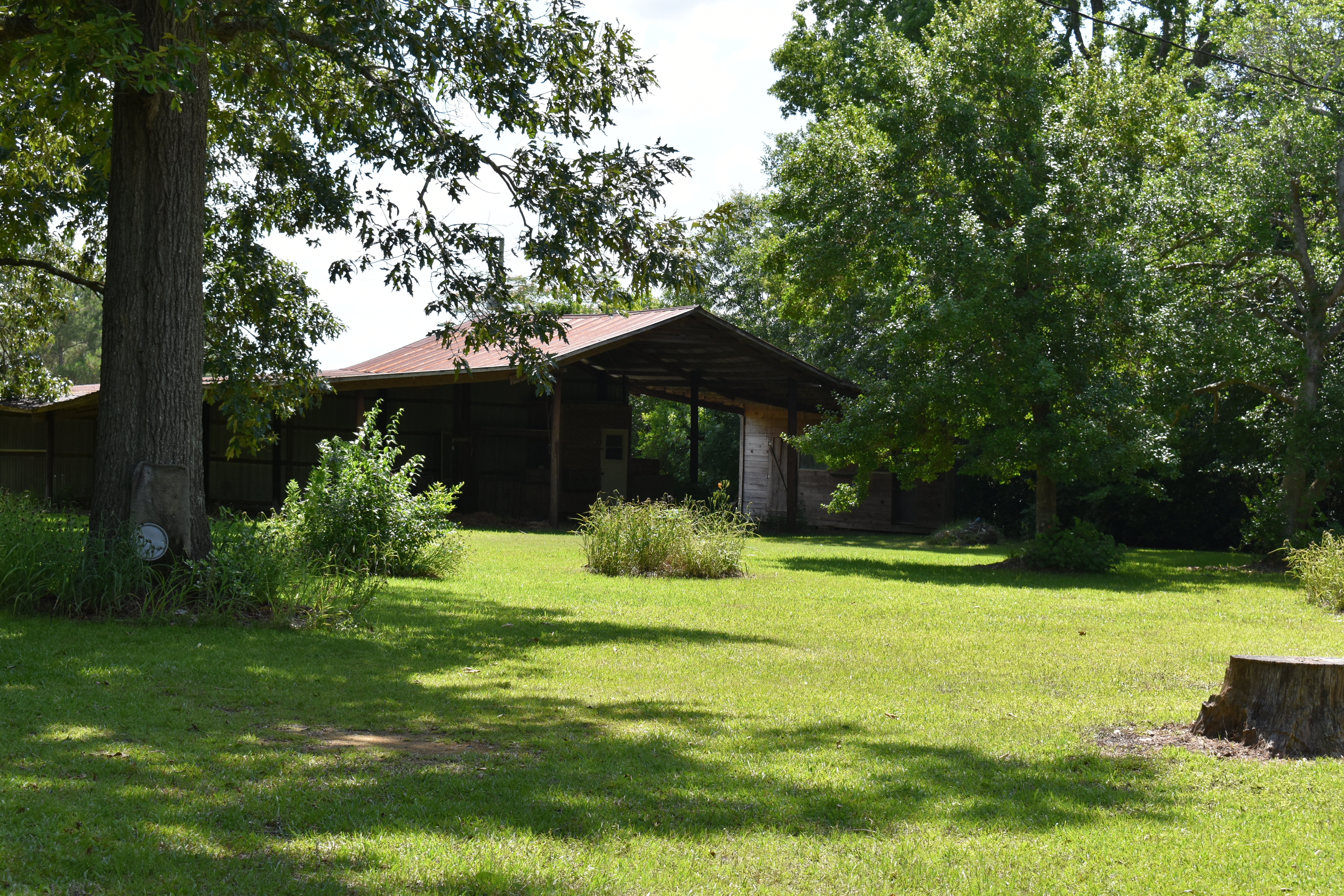 Mount Olive Rd, Dublin, GA 31021